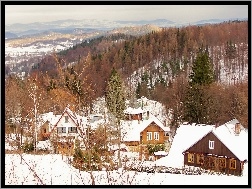 Domki, Zima, Las